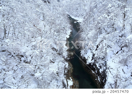 冬の小安峡 20457470
