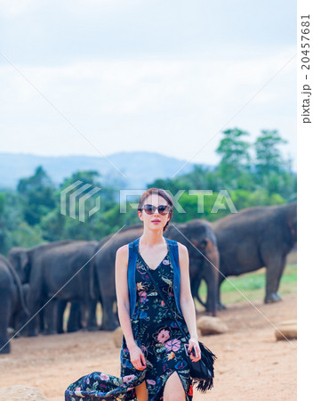 Young woman and wild elephants Young woman and wild elephants 20457681
