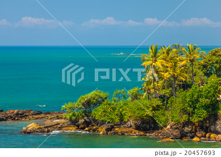 tropical coast line tropical coast line 20457693