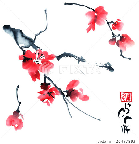 Blossom tree. Flowers illustration.. 20457893