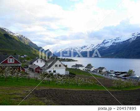 ノルウェー　フィヨルドの風景 20457895