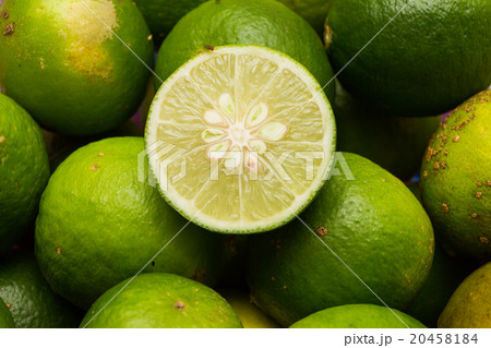 Limes 20458184