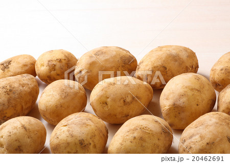 ジャガイモ 20462691