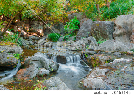 Water falls in forest. 20463149