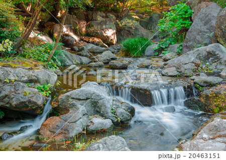 Water falls in forest. 20463151