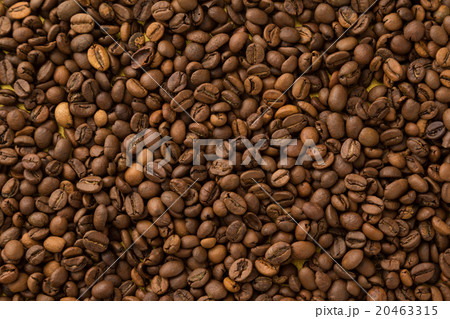コーヒー豆　金バック 20463315