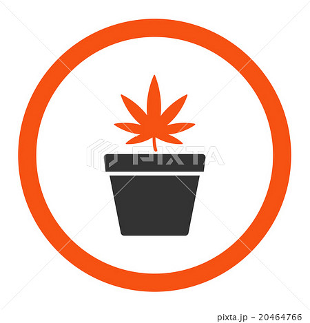 Cannabis Pot Rounded Vector Icon 20464766