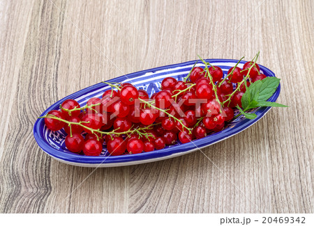Red currants Red currants 20469342