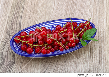 Red currants Red currants 20469343