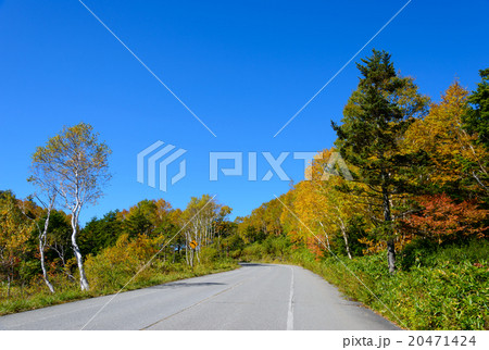 秋の志賀高原　志賀草津道路 20471424