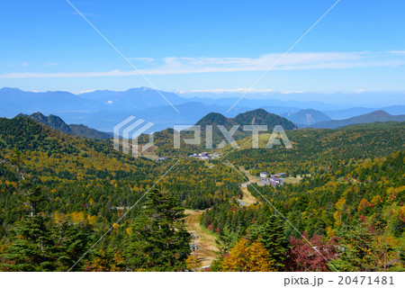 長野　秋の志賀高原 20471481