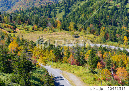 長野　秋の志賀高原 20471515