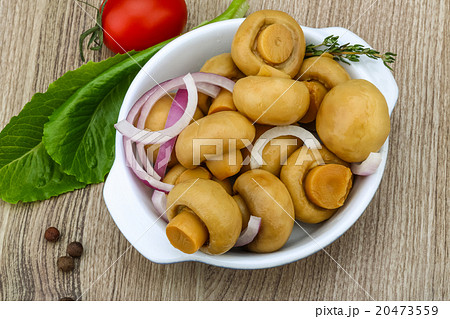 Pickled champignon 20473559