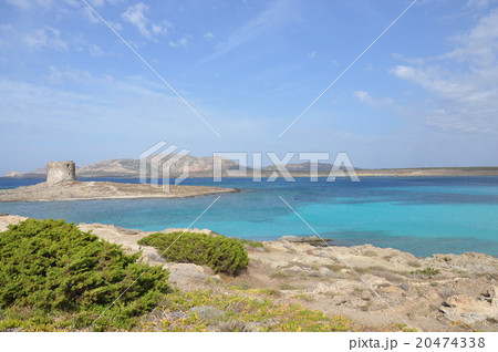サルデーニャ島 サルデーニャ島 20474338