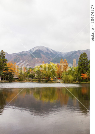 湯布院金鱗湖の紅葉 湯布院金鱗湖の紅葉 20474577