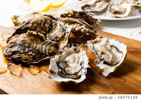 オイスターバー 20475139