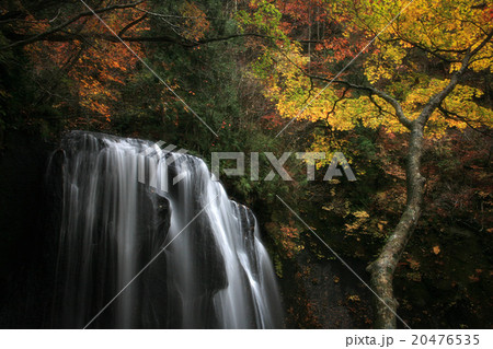 裏磐梯の滝 20476535