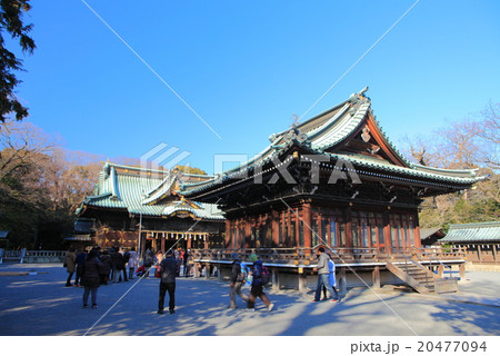 三嶋大社 本殿と舞殿 三嶋大社 本殿と舞殿 20477094