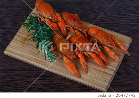 Crayfish Crayfish 20477745