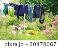 Laundry stand in the garden 20478067