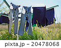 Laundry stand in the garden 20478068