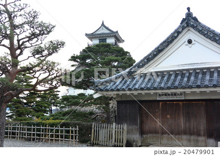 早朝の高知城 20479901