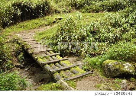 笠取山 源流のみちと水源 20480243
