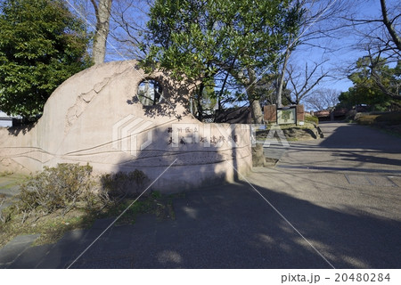 大森貝塚 遺跡跡庭園 大森貝塚 遺跡跡庭園 20480284