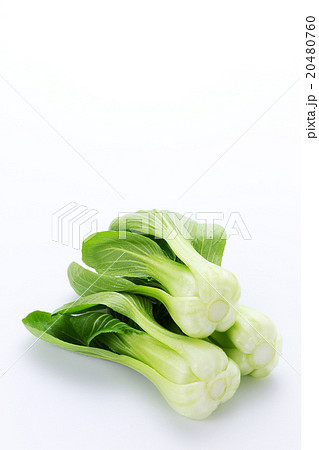 チンゲンサイ3 チンゲンサイ3 20480760