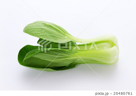 チンゲンサイ4 チンゲンサイ4 20480761