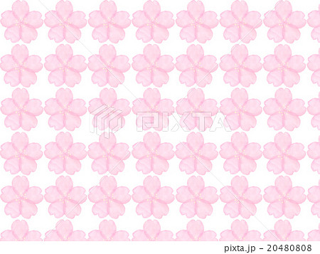 桜　サクラ　さくら　模様　花柄　手書き　フラワー　水彩　ピンク　桃色　桜色　春　イラスト　背景　花 20480808