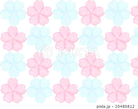 さくら 桜 かわいい 背景 水彩 和風イメージ 壁紙 ガーリー フェミニン 春の花 バックグラウンドのイラスト素材 20480812 Pixta