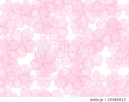 さくら 桜 かわいい 背景 水彩 和風イメージ 壁紙 ガーリー フェミニン 春の花 バックグラウンドのイラスト素材