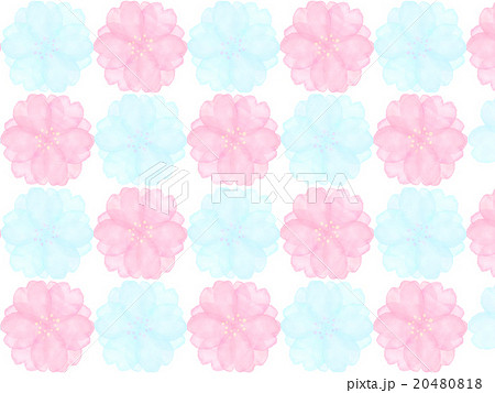 八重桜 さくら 淡い 和 水彩画 手書き 柄 花模様 かわいい 白バック 背景素材 模様のイラスト素材 20480818 Pixta