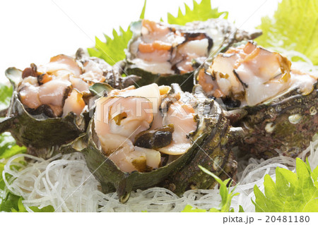 サザエの刺身 20481180