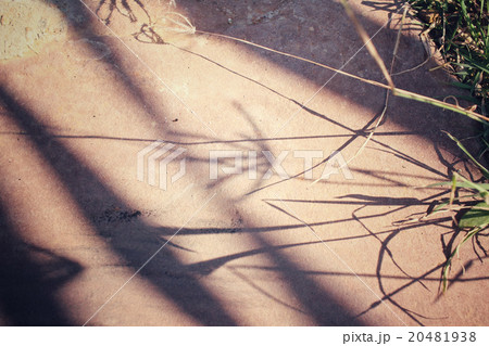 Vintage spring flowers with shadow Vintage spring flowers with shadow 20481938
