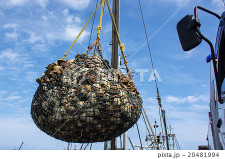 オホーツク海の恵み オホーツク海の恵み 20481994