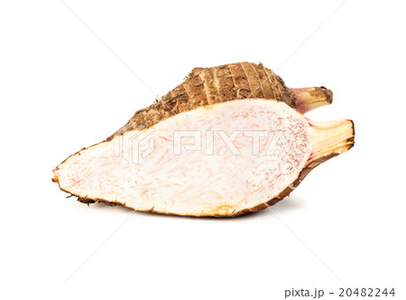 Taro root isolated on white background 20482244
