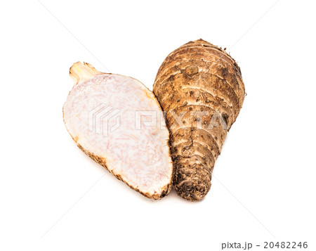 Taro root isolated on white background 20482246