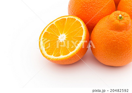 タンジェロ（品種：ミネオラ）: Tangelo (cv. Minneola) 20482592