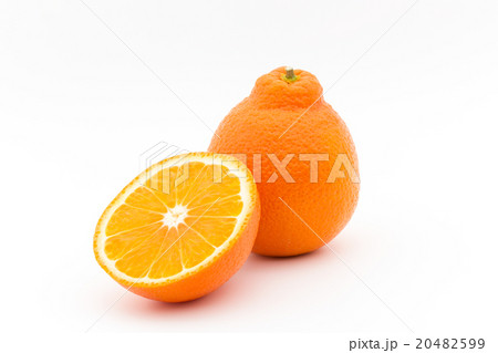タンジェロ(品種:ミネオラ): Tangelo (cv. Minneola) タンジェロ(品種:ミネオラ): Tangelo (cv. Minneola) 20482599