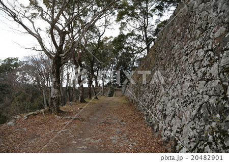 佐伯城跡の写真 20482901