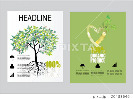Vector Brochure Flyer design Layout template, size 20483646