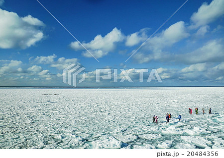 冬のオホーツク海　流氷ウオーク　（斜里町ウトロ）　 20484356