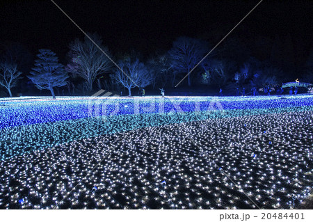 しあわせ回廊なら瑠璃絵 しあわせ回廊なら瑠璃絵 20484401