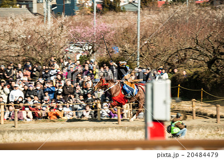 曽我 流鏑馬 20484479