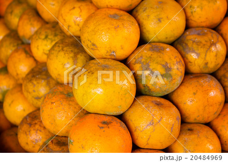 Orange fruit. Orange fruit. 20484969