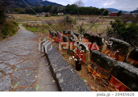 梅咲く山の辺の道のお地蔵さん（奈良県天理市） 20485626