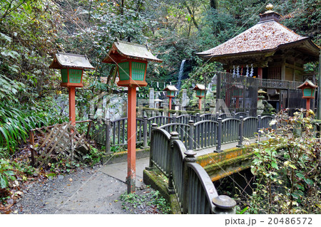 高尾山（琵琶瀧） 20486572
