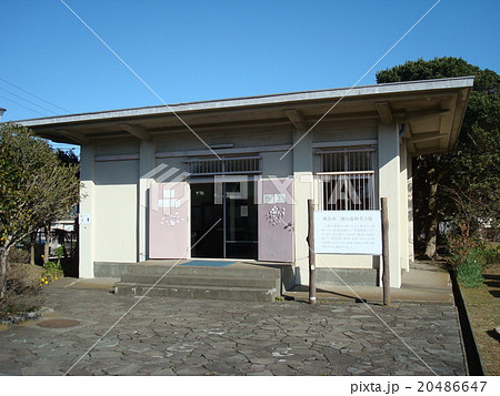 横浜市三殿台考古館（三殿台遺跡）の展示室 20486647